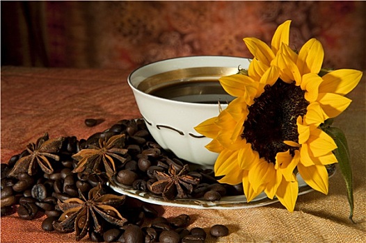 杯子,咖啡豆,向日葵,彩色背景