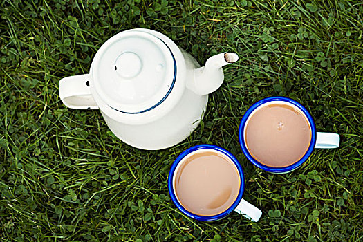 俯拍,茶壶,两个,大杯,茶,草坪