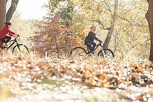 男孩,女孩,骑自行车,木头,秋叶