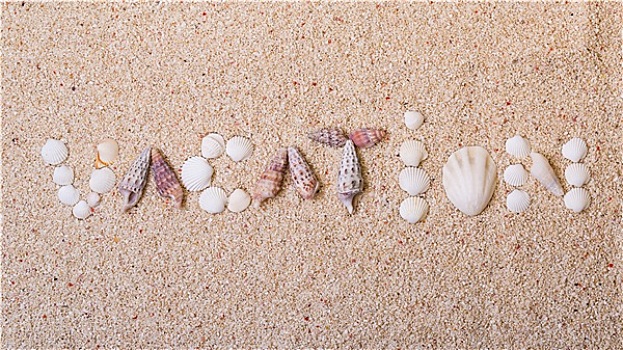 度假,海螺壳,珊瑚,沙子