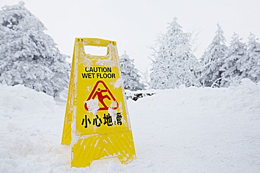 警告,小心,标牌,雪,地面,山