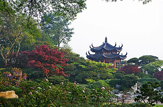 花港观鱼牡丹亭