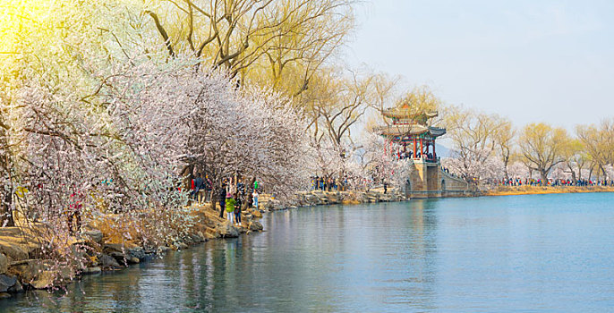 初春北京颐和园风光