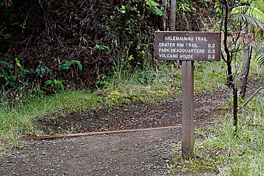 小路,基拉韦厄火山,夏威夷火山国家公园,夏威夷,美国