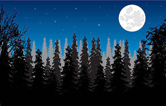 木头,月亮,夜晚