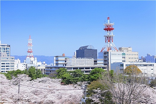 和歌山,城市