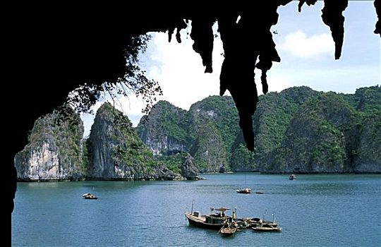 越南,船,湾,风景,洞穴