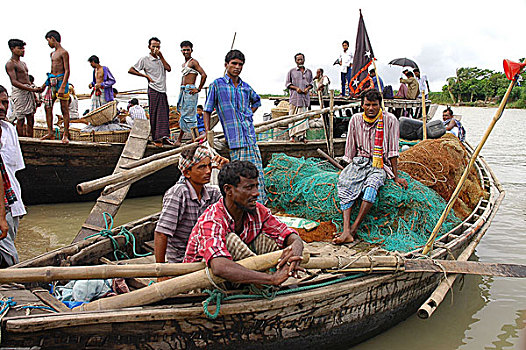 白天,抓住,鱼市,孟加拉,七月,2005年