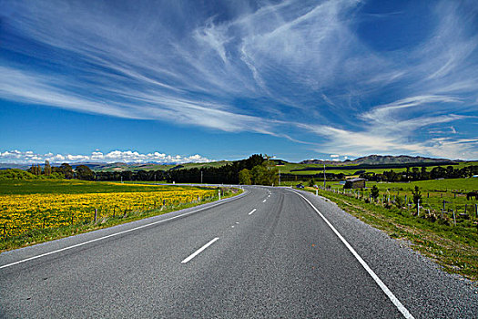 公路,一个,农田,靠近,山谷,北方,坎特伯雷,南岛,新西兰