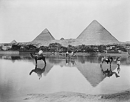 男人,骆驼,浅,洪水,水,金字塔,背景,埃及,建筑,古老,历史