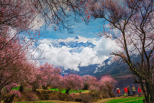 林芝,景色