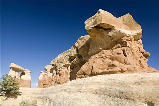 沙岩构造,花园,大阶梯-埃斯卡兰特国家保护区,犹他,美国,北美