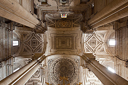 内景,天花板,大教堂,安达卢西亚,西班牙,欧洲