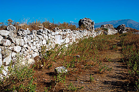 罗马艺术,遗址,阿尔巴尼亚,残留,墙壁,迟,4世纪,广告