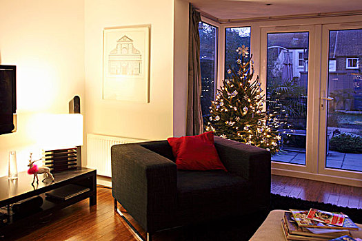 客厅,装饰,圣诞树,背景