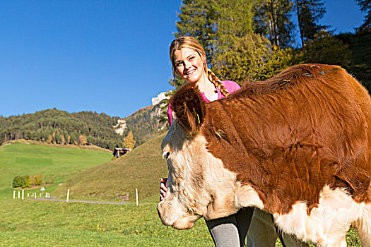 高兴,女孩,爱抚,小,母牛,特兰迪诺,意大利