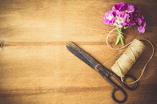 花,背景,剪刀,绳索