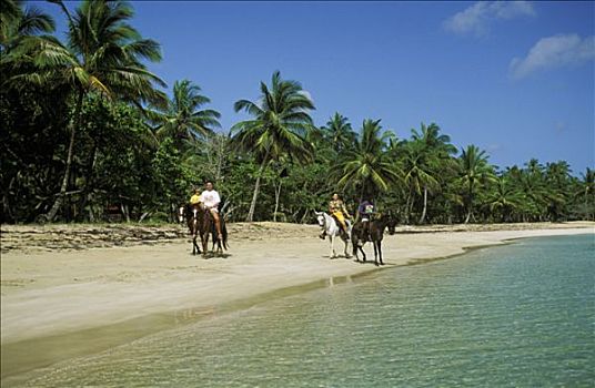 多米尼加共和国,马,海滩