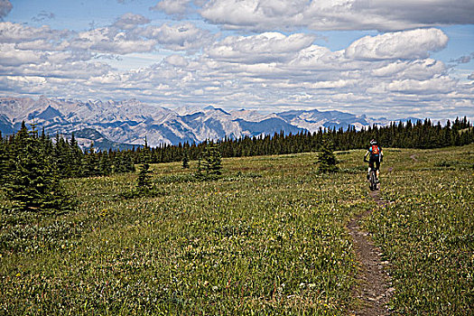 女青年,自行车,景色,跳跃,山脊,卡纳纳斯基斯县,落基山脉,艾伯塔省,加拿大
