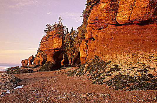 霍伯威尔岩,省立公园,独特,侵蚀,岩石构造,新布兰斯维克,加拿大