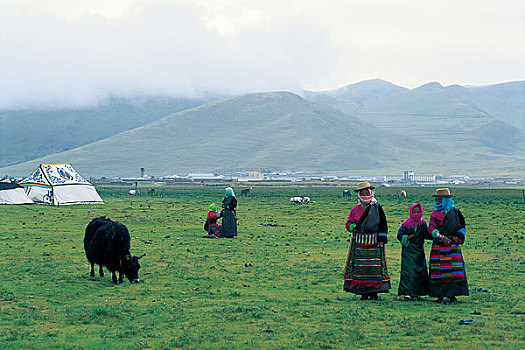 西藏地区自然风光