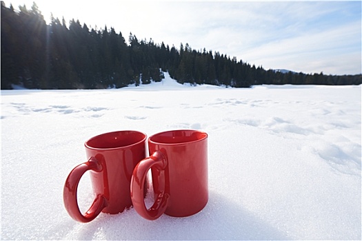 两个,红色,热,茶,雪中,冬天