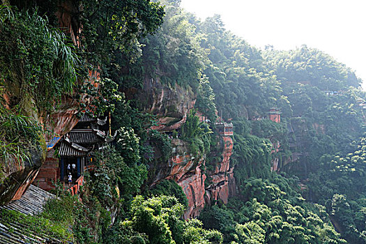 陡峭的悬崖峡谷,茂密的竹子