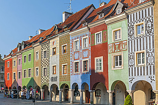 排,彩色,建筑,房子,波兹南,老,市场,波兰