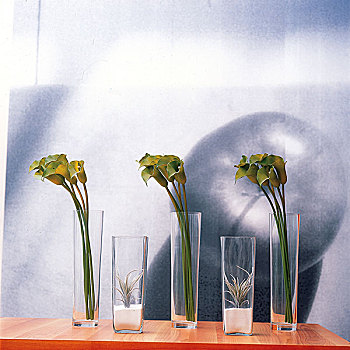 特写,植物,花瓶
