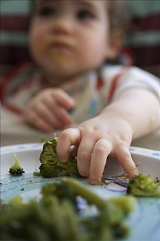 婴儿,花椰菜