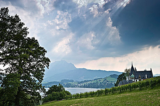 城堡,琉森湖,远景,皮拉图斯,山,瑞士,欧洲