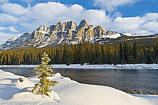 城堡山,弓河,山谷,冬天,班芙国家公园,加拿大