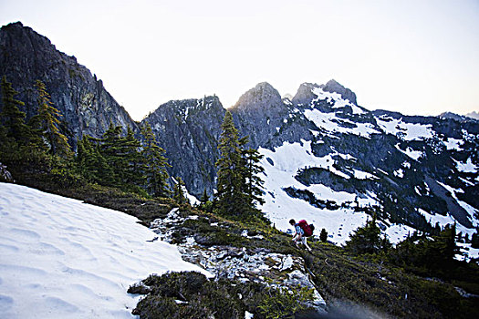 男青年,远足,雪,小块土地,顶峰,大,山,华盛顿,美国