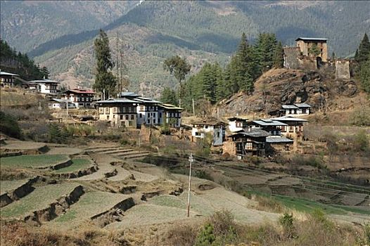 不丹,英国,喜马拉雅山,乡村