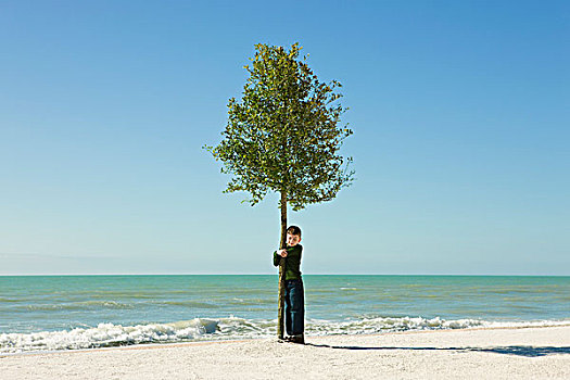 男孩,搂抱,树,海滩