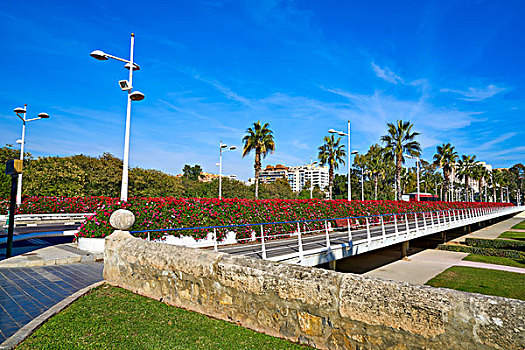 瓦伦西亚,花,桥,西班牙