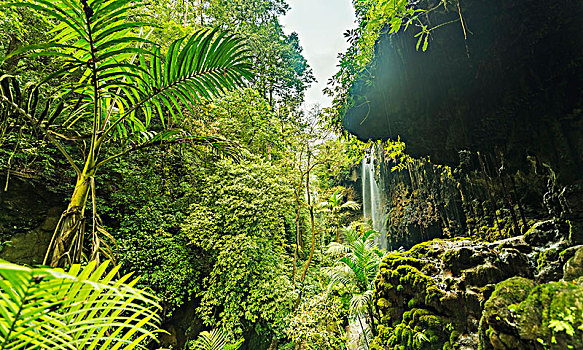 瀑布,峡谷,丛林,东方,爪哇,印度尼西亚,亚洲