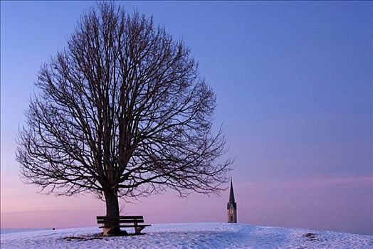 孤树,日落,冬天,正面,尖顶,上巴伐利亚,德国