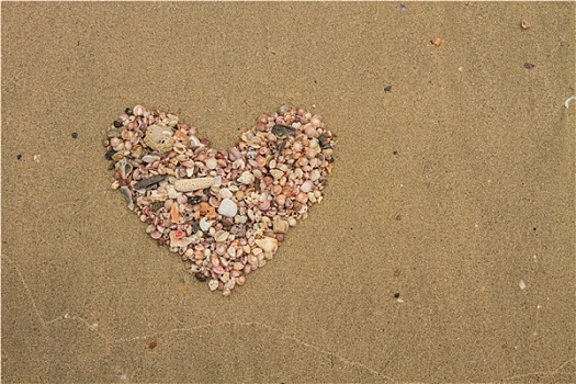 心形,海螺壳,躺着,海滩,沙子