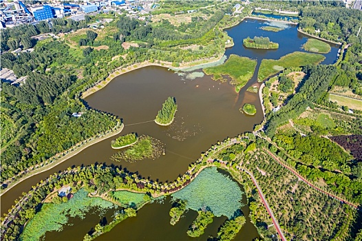 航拍河南平顶山白鹭洲国家城市湿地公园,采煤塌陷地湿地环境改造出的城市休闲公园
