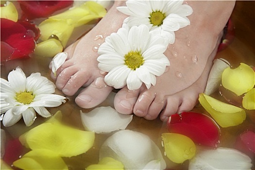 芳香疗法,花,脚,沐浴,玫瑰花瓣