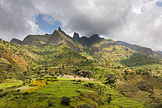 风景,靠近,悬崖,山,埃塞俄比亚