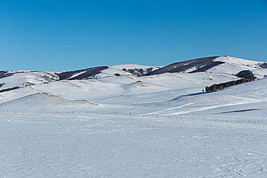 内蒙古坝上雪地自然风光