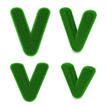 字母v,草