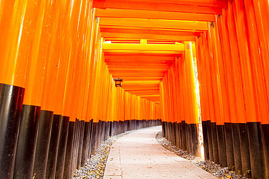 漂亮,橘色,庙宇,京都,日本