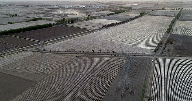 新疆哈密,兵团机采棉开拉开了棉花种植的序幕