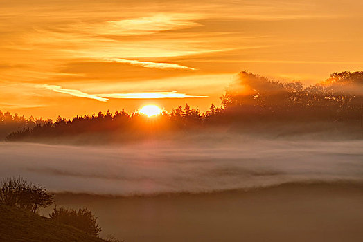 日出,雾状,气氛,靠近,上巴伐利亚,巴伐利亚,德国,欧洲