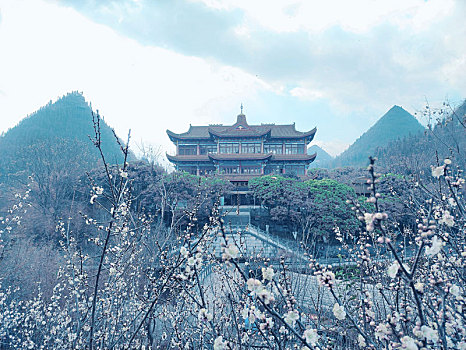 梅花季贵州醇景区