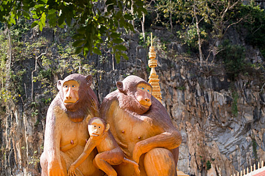 泰国,清莱,猴子,洞穴,庙宇