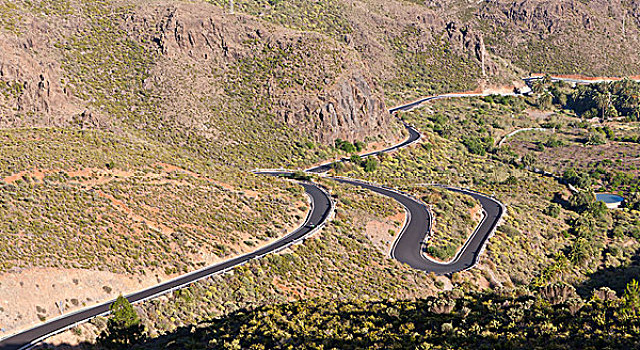 弯曲,山路,靠近,大卡纳利岛,加纳利群岛,西班牙,欧洲
